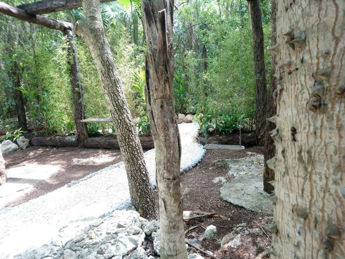 Casita Rustica En La Selva Hotel Cancun Ngoại thất bức ảnh